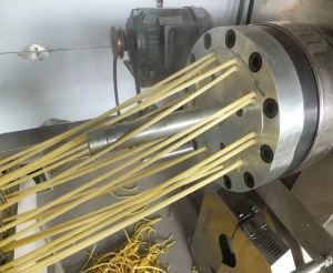 Pasta Makaroni Processing Line
